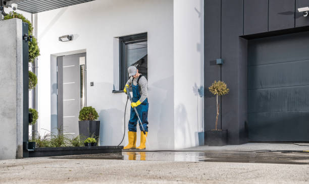 Animal Enclosure Cleaning in Johnson, AR